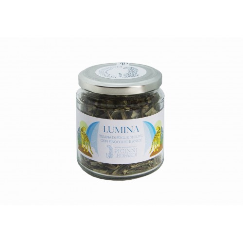 Lumina - Foglie di Olivo, Finocchio e Anice  - 50 g